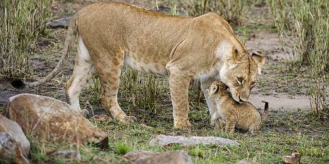 northern serengeti national park 002.jpg