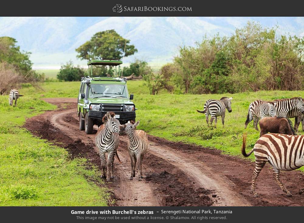 serengeti national park 038.jpg